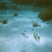  Lighthouse Reef, Belize